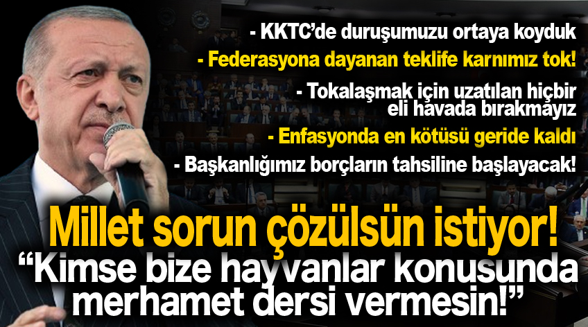 Erdoğan'dan başıboş köpek düzenlemesi mesajı: Kimse bize hayvanlar konusunda merhamet dersi vermesin!